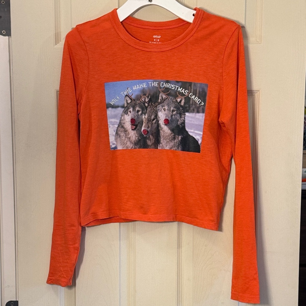 Aerie Orange Long Sleeve Tee with Wolf Graphic